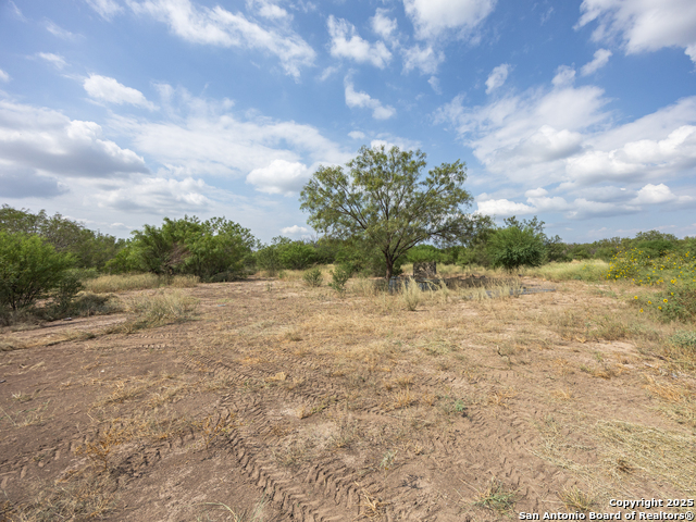 Listing photo id 27 for 4177 Fm 1436