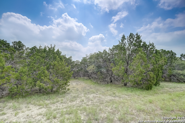 Image 4 of 16 For 875 Country