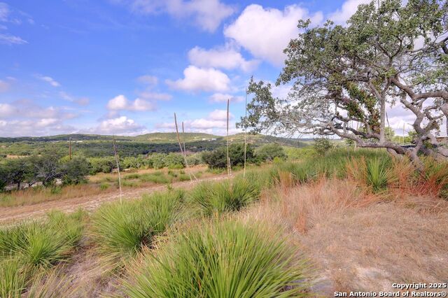 Listing photo id 20 for 113 Southview