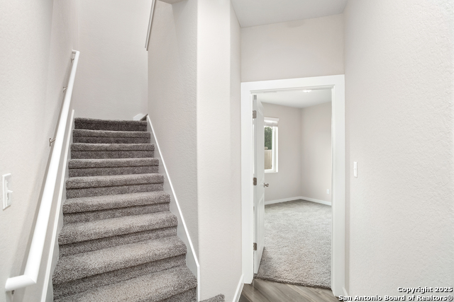 Image 5 of 31 For 21531 Sir Walter