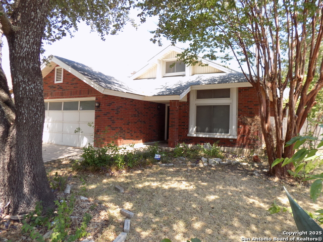 Image 2 of 43 For 3223 Tree Grove