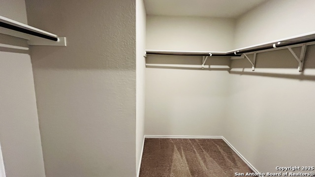 Image 10 of 23 For 8547 Western Tanager