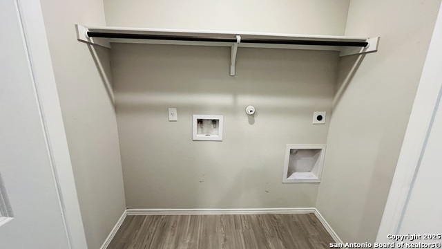 Image 12 of 23 For 8547 Western Tanager