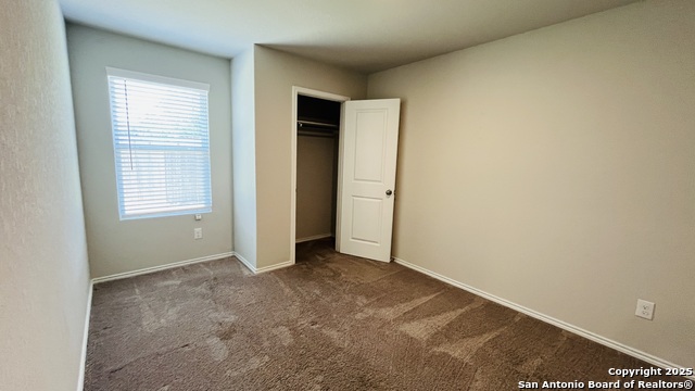 Image 18 of 23 For 8547 Western Tanager