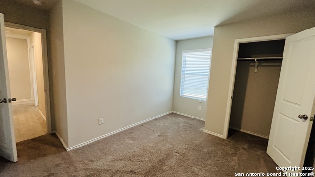 Image 19 of 23 For 8547 Western Tanager