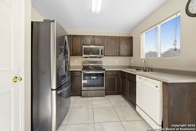 Image 10 of 22 For 100 Cypress Willow