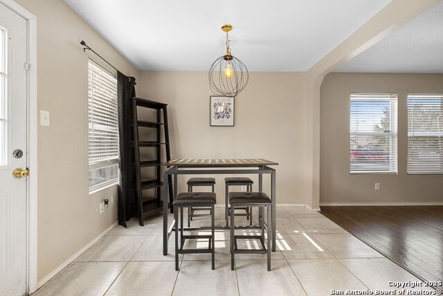 Image 12 of 22 For 100 Cypress Willow