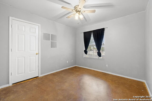 Image 13 of 22 For 100 Cypress Willow