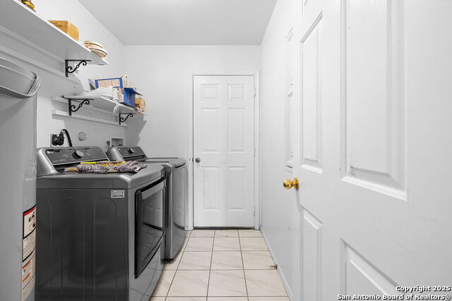 Image 14 of 22 For 100 Cypress Willow