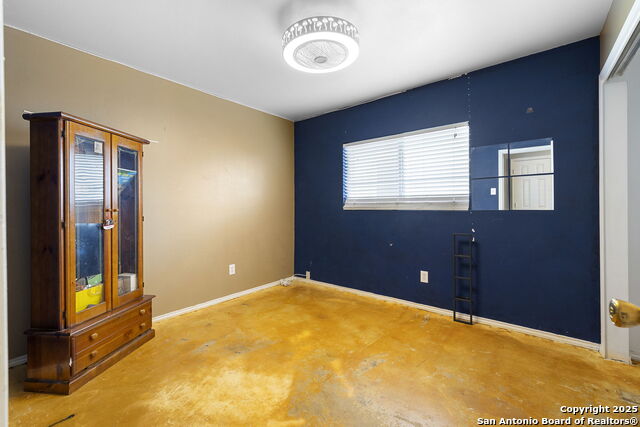 Image 15 of 22 For 100 Cypress Willow