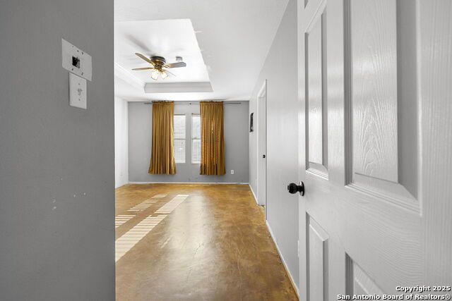 Image 17 of 22 For 100 Cypress Willow