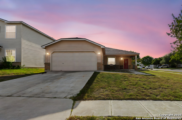 Image 2 of 22 For 100 Cypress Willow