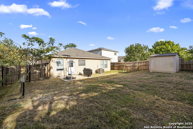 Image 22 of 22 For 100 Cypress Willow