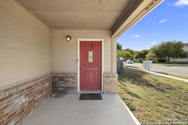 Image 4 of 22 For 100 Cypress Willow