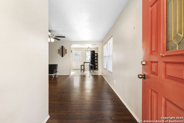 Image 5 of 22 For 100 Cypress Willow