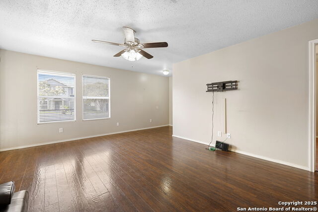 Image 8 of 22 For 100 Cypress Willow