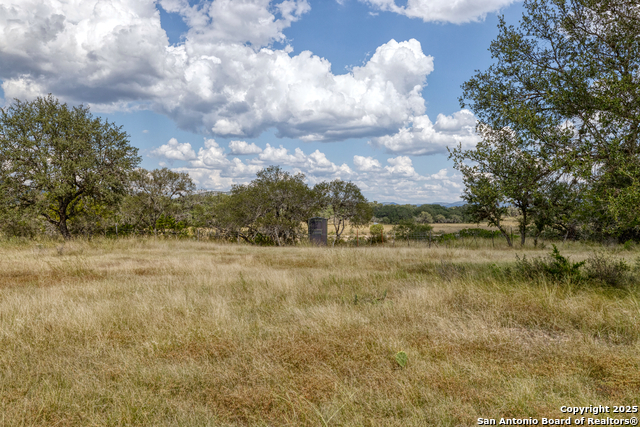 Listing photo id 3 for 2554 Cr 380  