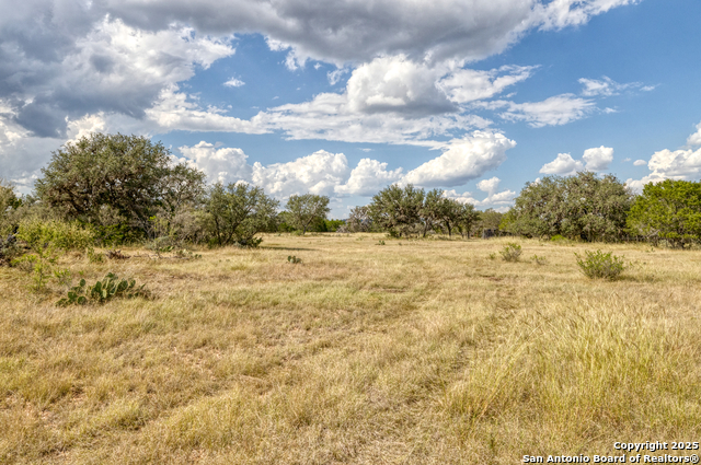 Listing photo id 5 for 2554 Cr 380  