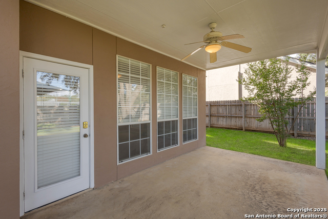 Image 20 of 31 For 1654 Hawks Tree