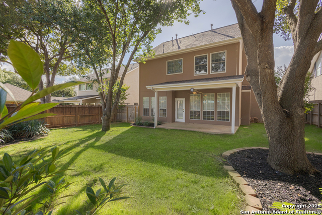 Image 21 of 31 For 1654 Hawks Tree