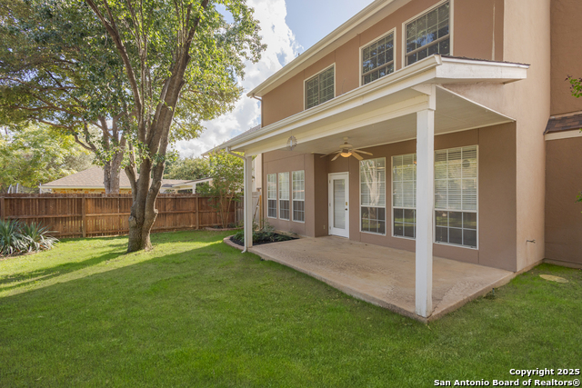 Image 22 of 31 For 1654 Hawks Tree