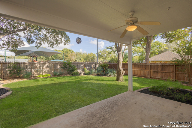 Image 23 of 31 For 1654 Hawks Tree