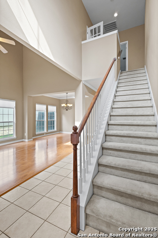 Image 24 of 31 For 1654 Hawks Tree