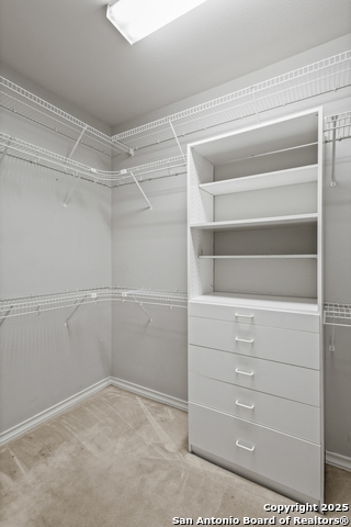 Image 29 of 31 For 1654 Hawks Tree