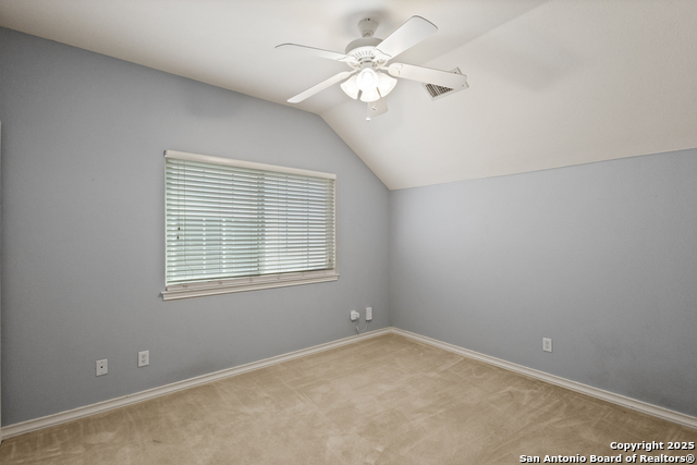 Image 31 of 31 For 1654 Hawks Tree