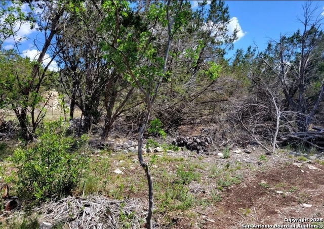 Image 2 of 5 For Lot 15 County Road 2481