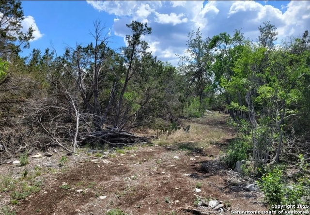 Image 3 of 5 For Lot 15 County Road 2481