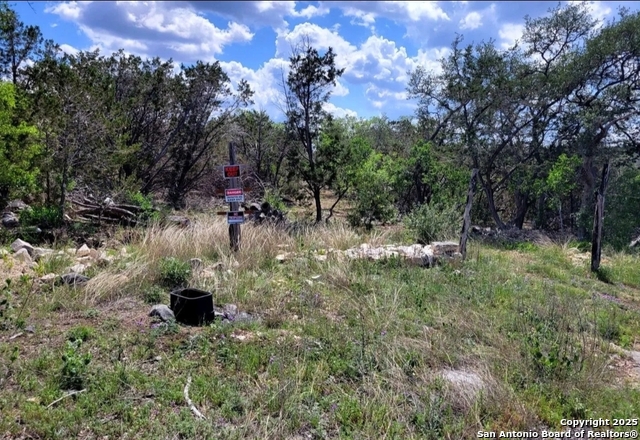 Image 4 of 5 For Lot 15 County Road 2481