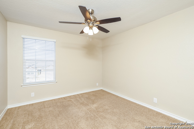 Image 13 of 18 For 850 Brown Thrasher