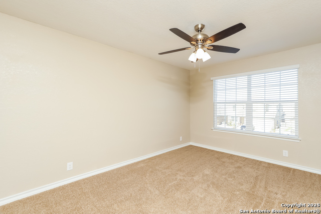 Image 14 of 18 For 850 Brown Thrasher