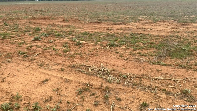 Image 4 of 11 For 205 Dairy Rd N