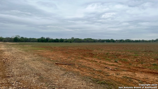 Image 5 of 11 For 205 Dairy Rd N