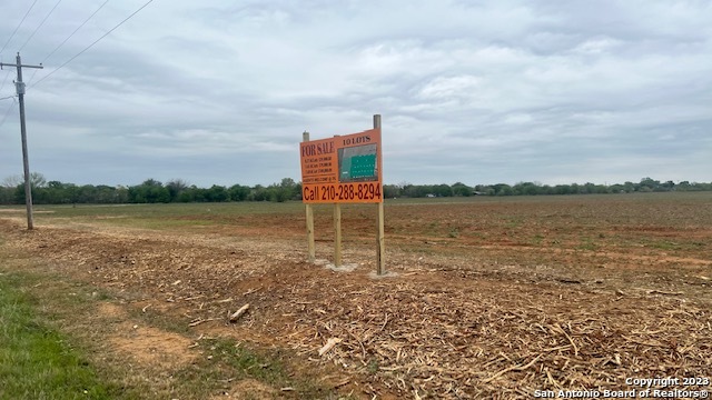 Image 9 of 11 For 205 Dairy Rd N