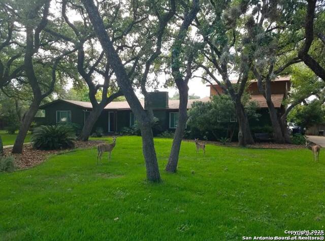 Image 4 of 33 For 227 Palo Grande