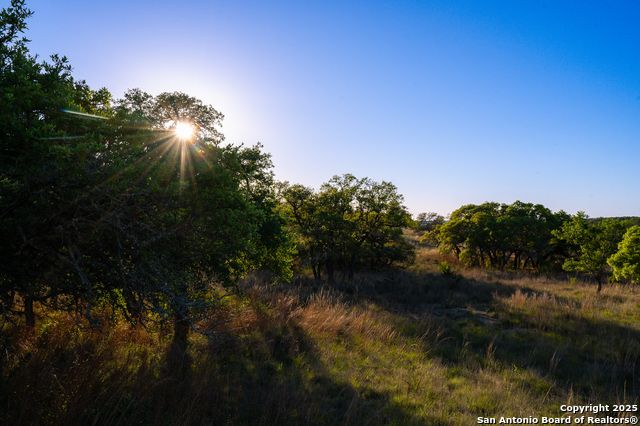 Image 10 of 13 For Lot 31 Shady Hollow