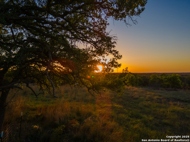 Image 3 of 13 For Lot 31 Shady Hollow