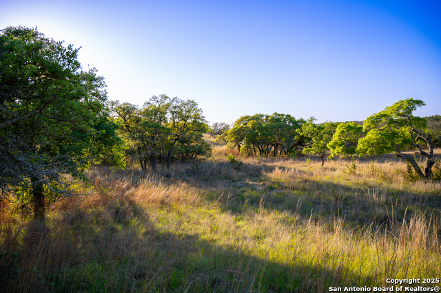 Image 6 of 13 For Lot 31 Shady Hollow