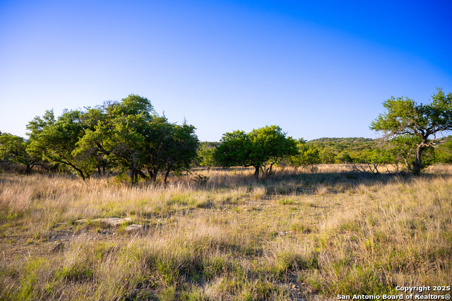 Image 9 of 13 For Lot 31 Shady Hollow