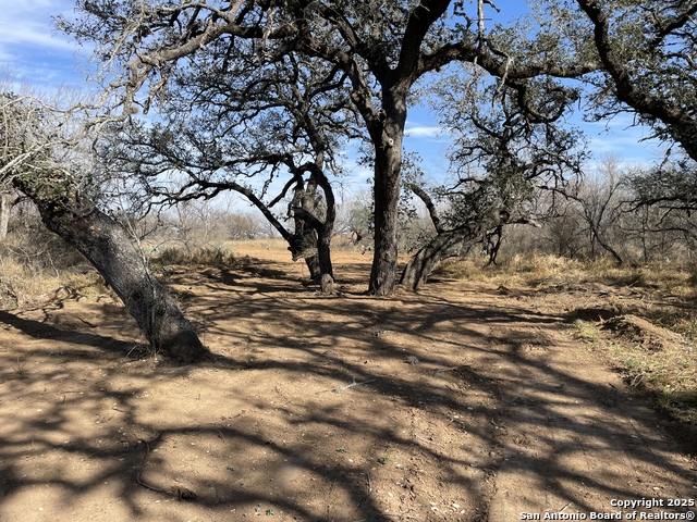 Listing photo id 1 for 3 Acres Cr 2644