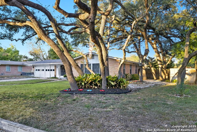 Listing photo id 3 for 114 Beechwood