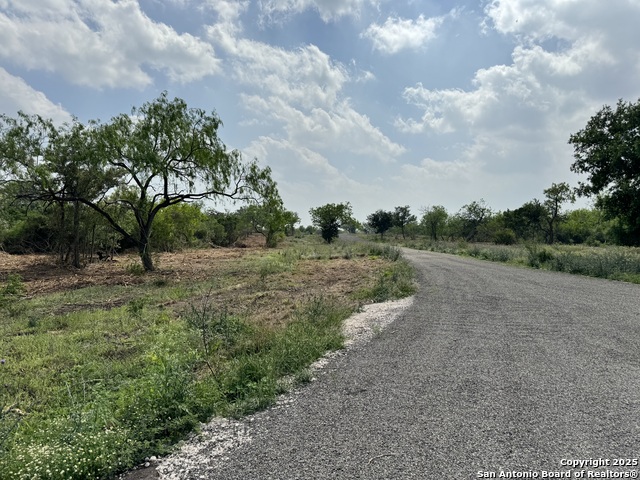 Listing photo id 3 for 2337 Paisano Trl