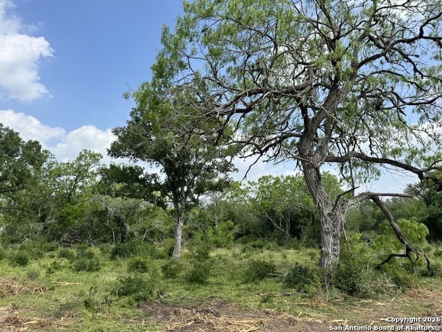 Listing photo id 5 for 2337 Paisano Trl