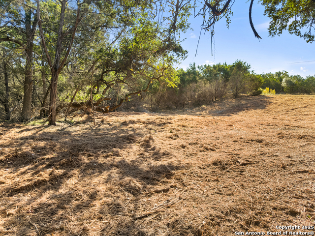 Image 10 of 23 For 817 Rutherford