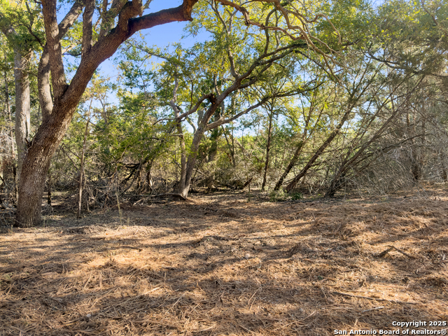 Image 11 of 23 For 817 Rutherford