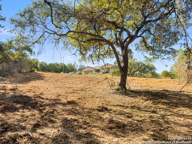 Image 12 of 23 For 817 Rutherford