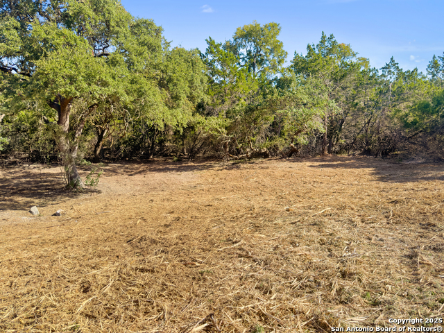 Image 14 of 23 For 817 Rutherford